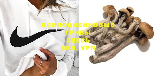 сатива Бронницы
