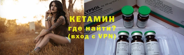 сатива Бронницы