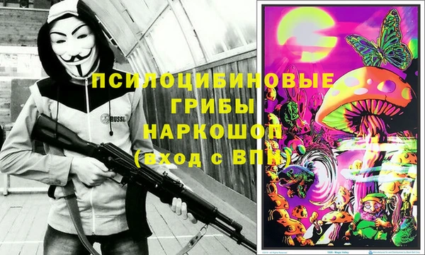сатива Бронницы