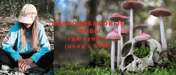 герыч Бугульма