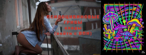 сатива Бронницы
