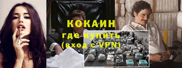 сатива Бронницы