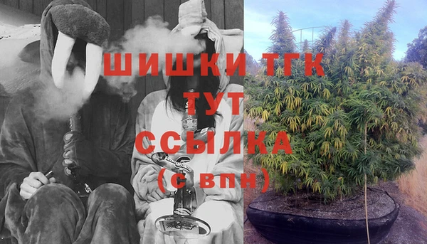 mdma Бородино
