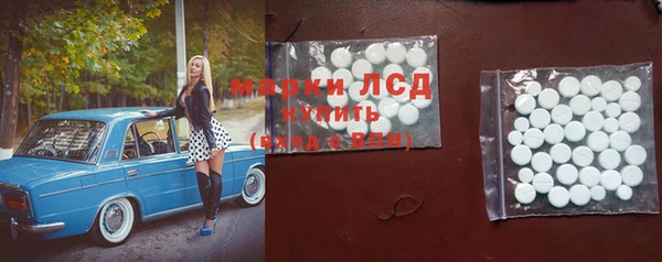 сатива Бронницы
