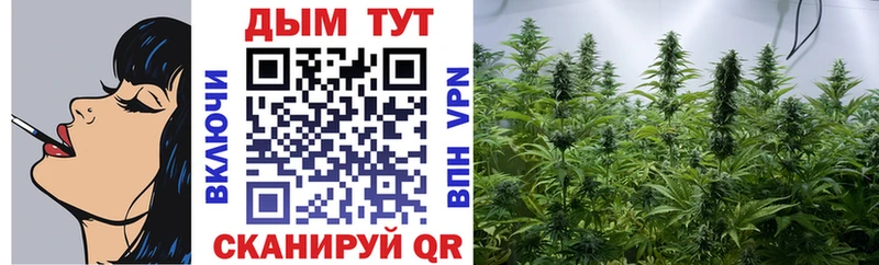 Каннабис сатива  MEGA ТОР  Брянск 